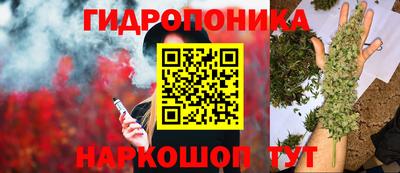 дмт Жуковский