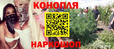 дмт Жуковский