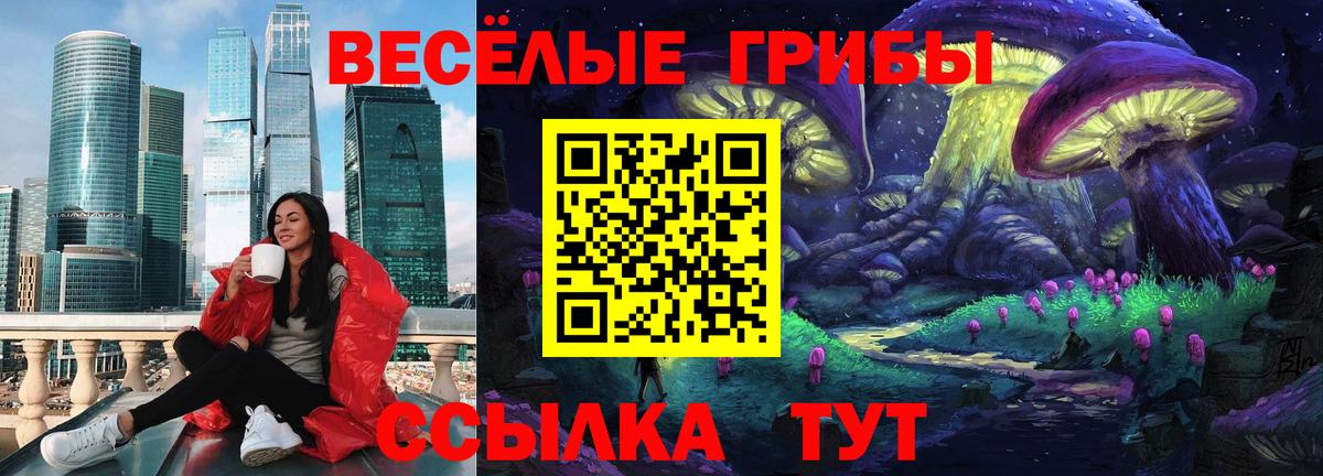 Псилоцибиновые грибы мухоморы  что такое наркотик  Вход с VPN  Мелеуз  Псилоцибиновые грибы GOLDEN TEACHER 