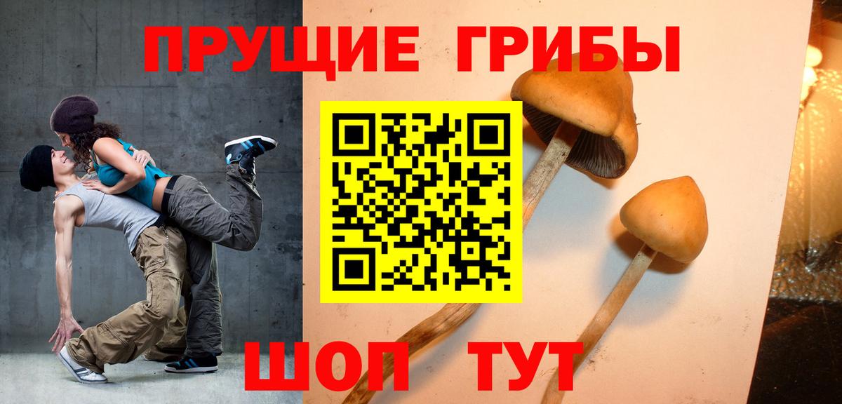 Псилоцибиновые грибы мухоморы Мелеуз